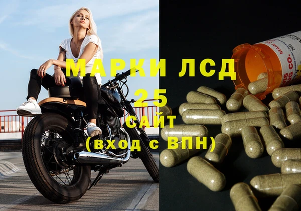 круглые Аркадак