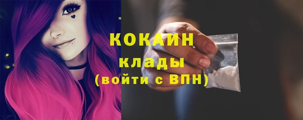 трава Арсеньев