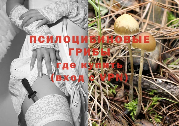 круглые Аркадак