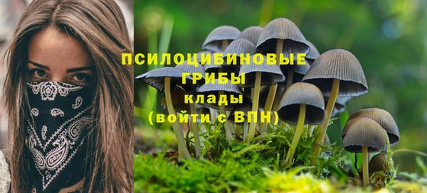 трава Арсеньев