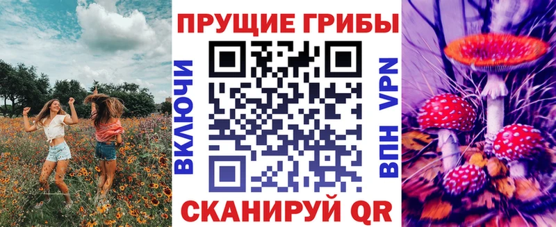 Галлюциногенные грибы Psilocybine cubensis  Биробиджан 