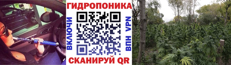 МАРИХУАНА марихуана  даркнет телеграм  Биробиджан 